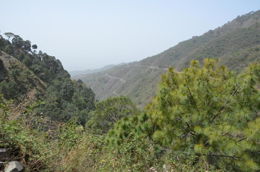 Safarmaina Resort Kasauli Exterior photo